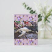 Tuxedo kat grappige lieve Mexicaanse golf quote Briefkaart (Staand voorkant)