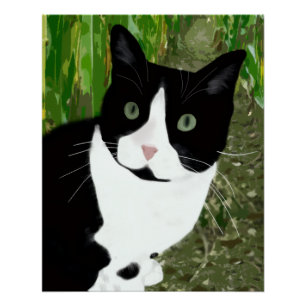 Tuxedo-kat in het korenveld perfect poster