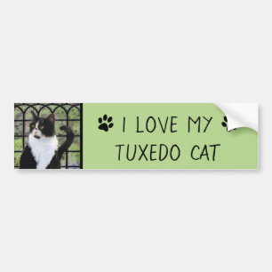 Tuxedo Kat In Venster Schilderen Originele Dierenk Bumpersticker