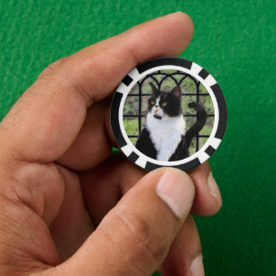Tuxedo Kat In Venster Schilderen Originele Dierenk Poker Chips