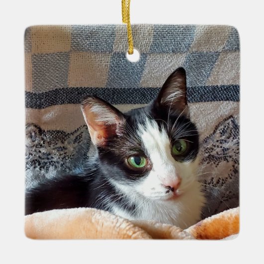 Tuxedo-kat Keramisch Ornament (Voorkant)