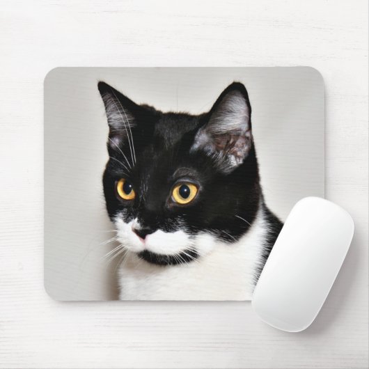 Tuxedo-kat Muismat (Met muis)