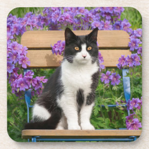 Tuxedo-kat op een tuinstoel met bloemen bier onderzetter