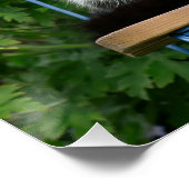 Tuxedo-kat op een tuinstoel met bloemen perfect poster (Hoek)