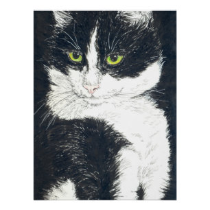 Tuxedo-kat Perfect Poster