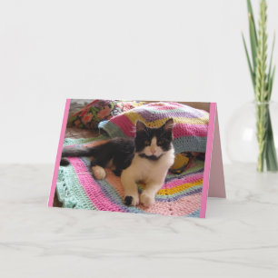 Tuxedo Kat Schattig Slapend op Gehaakte Vloerkleed Kaart