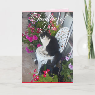 Tuxedo Kat Schattige Bloemen Katten Denken Kaart