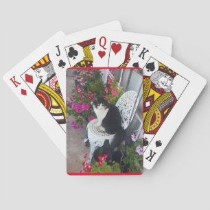 Tuxedo Kat Schattige  Bloemen Katten Verjaardag Pokerkaarten