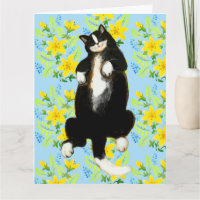 Tuxedo kat Slapend op bloem bed