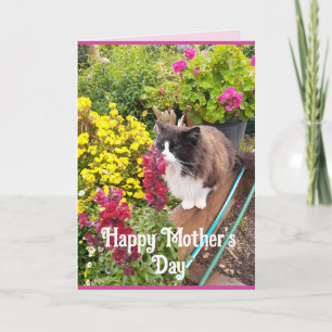 Tuxedo Kat Snuffelen Bloemen Grappige Moederdag Ka Kaart