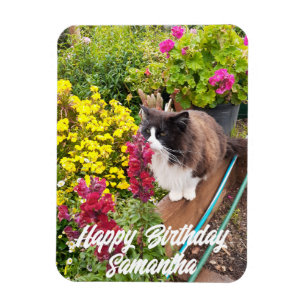 Tuxedo Kat Snuffelen Bloemen Katten Verjaardagsmag Magneet
