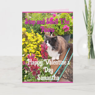 Tuxedo Kat Snuffelt aan Bloemen Funny Valentijnsda Kaart