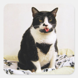 Tuxedo kat steekt uit haar tong vierkante sticker