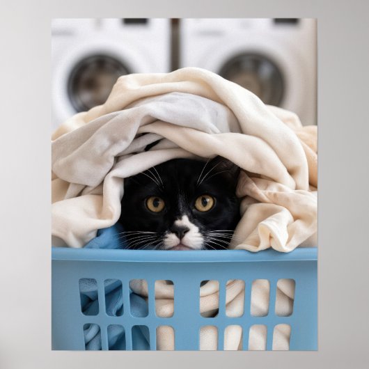 Tuxedo Kat Verbergt Zich in Wasmand Poster (Voorkant)