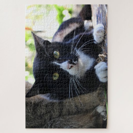 tuxedo kattenpuzzel legpuzzel (Verticaal)