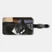 tuxedo katzwart-wit, onderaan één oog open bagagelabel (Achterkant horizontaal)