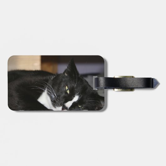 tuxedo katzwart-wit, onderaan één oog open bagagelabel (Achterkant horizontaal)