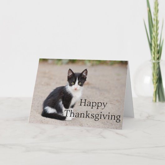 Tuxedo Kitten :: Carte de voeux Bon thanksgiving (Devant)