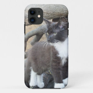 Tuxedo Kitten iPhone 11 Hoesje