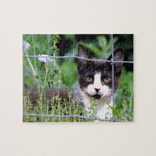 Tuxedo Kitten dans le Puzzle du jardin (Horizontal)