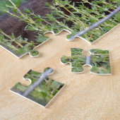 Tuxedo Kitten dans le Puzzle du jardin (Côté)