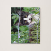 Tuxedo Kitten dans le Puzzle du jardin (Vertical)