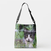 Tuxedo Kitten dans le sac de carrosserie du jardin (Dos)