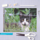 Tuxedo Kitten in de tuin Tissuepapier (Craft)