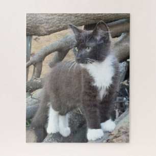 Tuxedo Kitten Legpuzzel