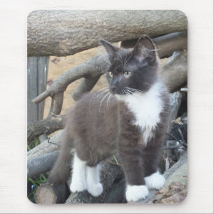 Tuxedo Kitten Muismat