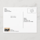 Tuxedo Kitten Tinsel en Lichten krijgen goed Briefkaart (Achterkant)