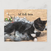 Tuxedo Kitten Tinsel en Lichten krijgen goed Briefkaart (Voorkant)