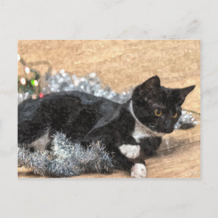 Tuxedo Kitten Tinsel en Lichtjes Ansichtkaart Briefkaart