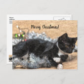 Tuxedo Kitten Tinsel en Lights kerstpostard Briefkaart (Voorkant / Achterkant)