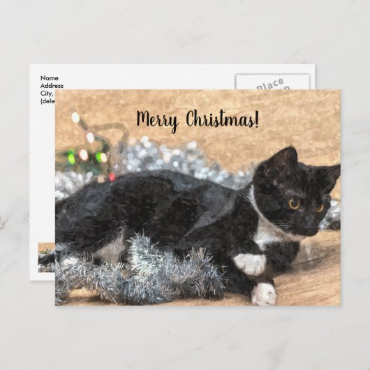 Tuxedo Kitten Tinsel en Lights kerstpostard Briefkaart (Voorkant / Achterkant)