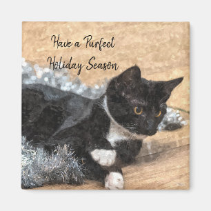 Tuxedo Kitten Tinsel et aimant de lumière