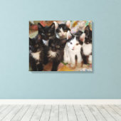 Tuxedo Kittens Canvas Afdruk (Insitu (Houten vloer))