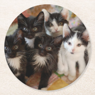Tuxedo Kittens Ronde Kartonnen Onderzetter
