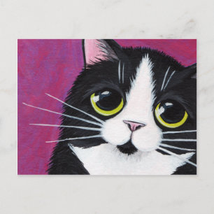 Tuxedo Kitty Chat Sur Carte Postale Rose