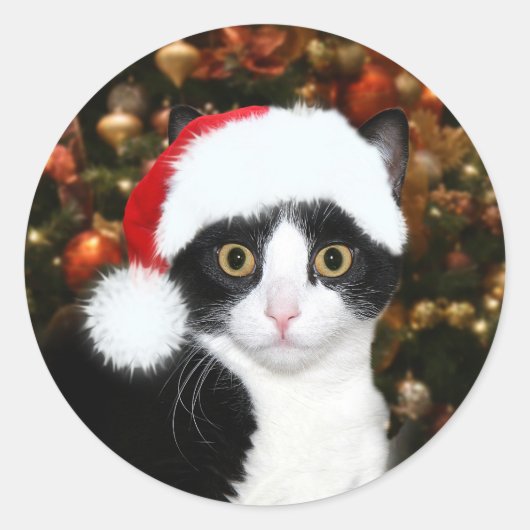 Tuxedo kitty kat Kerstmis Ronde Sticker (Voorkant)