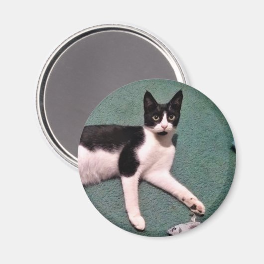 Tuxedo Kitty Magnet (Recto/Verso)