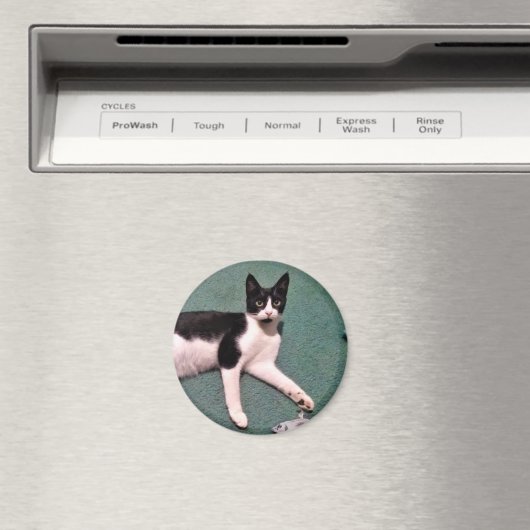 Tuxedo Kitty Magnet (In Situ (Lave-vaisselle))