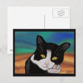 Tuxedo les cartes postales de chat (Devant / Derrière)