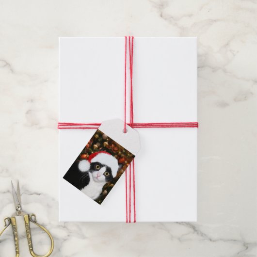 Tuxedo met kerstmis cadeaulabel (Met Touw)
