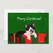 Tuxedo met kerstmis feestdagenkaart (Voorkant / Achterkant)