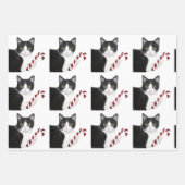 Tuxedo met kerstmis inpakpapier vel (Voorkant 3)