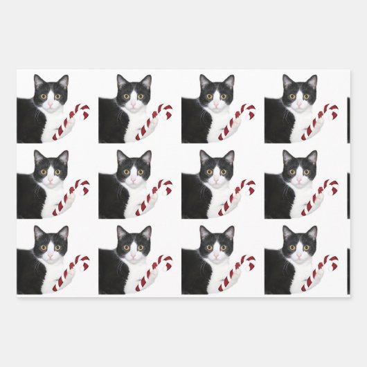 Tuxedo met kerstmis inpakpapier vel (Voorkant 3)
