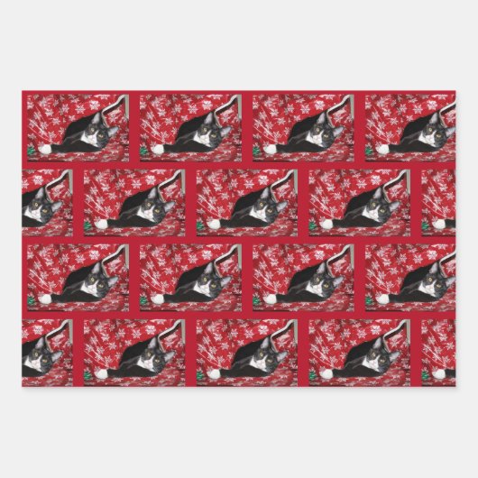 Tuxedo met kerstmis inpakpapier vel (Voorkant 2)