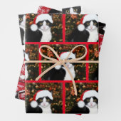Tuxedo met kerstmis inpakpapier vel (In situ)