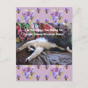 Tuxedokat Grappige Cute die een Mexicaanse Golf Qu Briefkaart